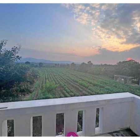 Hari Homestay, Garudeshwar Buitenkant foto